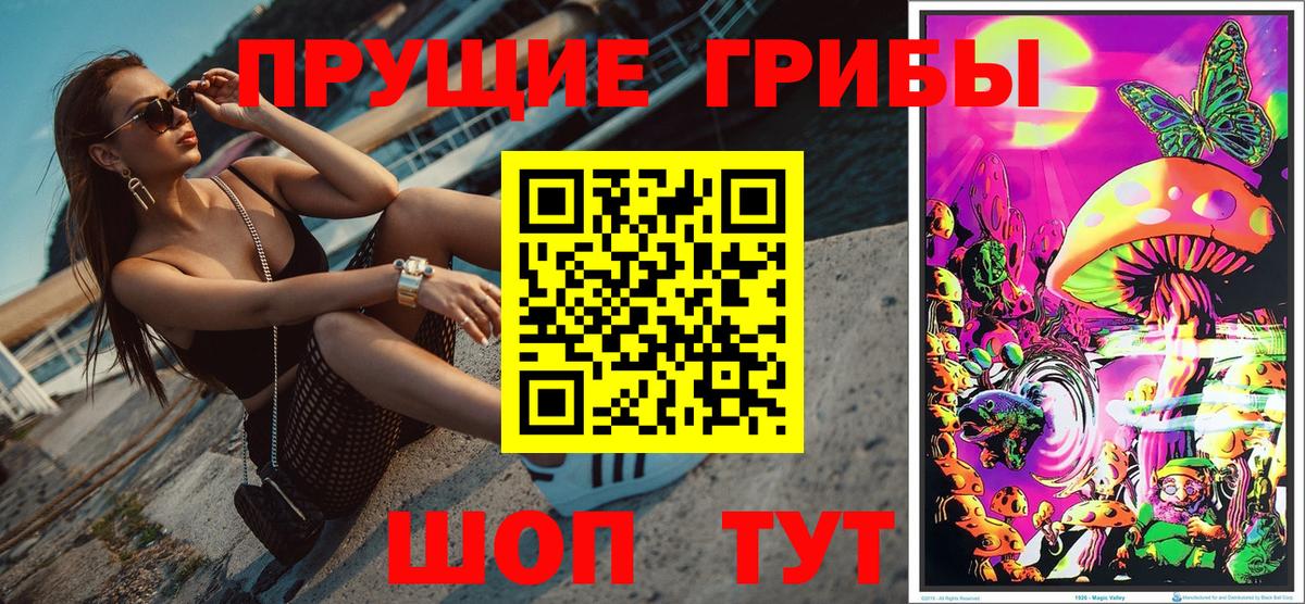 Прокопьевск  Галлюциногенные грибы Psilocybe  Галлюциногенные грибы MAGIC MUSHROOMS  Вход с VPN 
