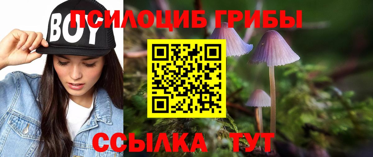 Псилоцибиновые грибы MAGIC MUSHROOMS Прокопьевск
